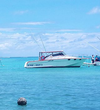 Grand Baie Fishing Boats Grand Baie Fishing Boats