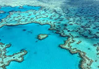 Great Barrier Reef Aerial Australia Pixabay Great Barrier Reef Aerial Australia Pixabay