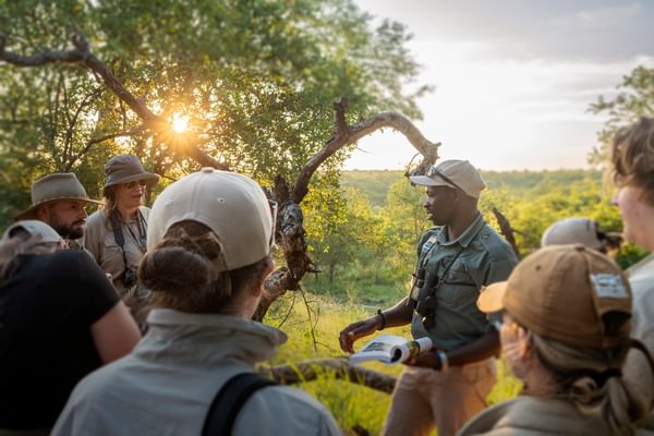 Group lesson greater kruger south africa Group lesson greater kruger south africa