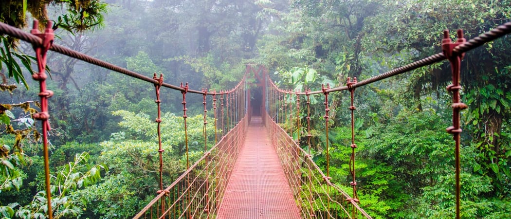 Hanging Bridge Monteverde Costa Rica Canva Pro