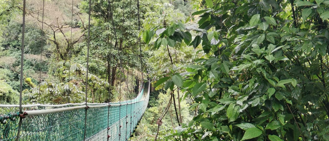 Hanging Bridges Northern Plains
