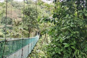 Hanging Bridges Northern Plains