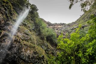 Heart Shaped Waterfall On St Helena Heart Shaped Waterfall On St Helena