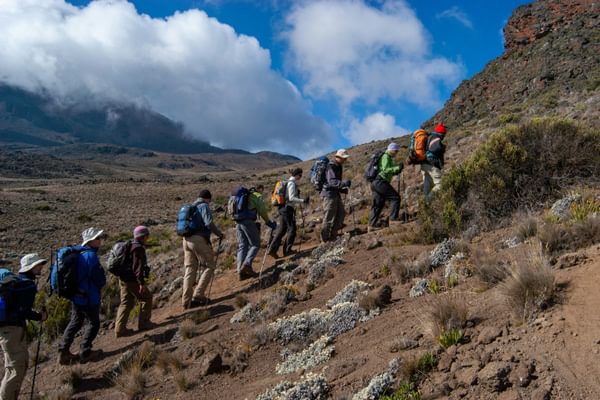 Hikers on the trail up Kilimanjaro Tanzania Hikers on the trail up Kilimanjaro Tanzania