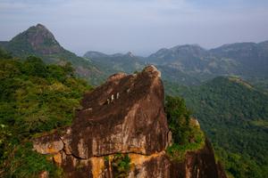 Hiking In  Gal  Oya  National  Park