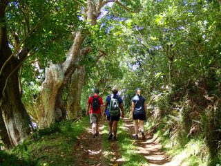 Hiking On St Helena