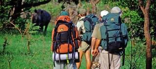 Hluhluwe Trails Hluhluwe Umfolozi Game Reserve South Africa Walking Wildlife Rhino