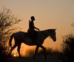 Horse Riding Grasslands Bushman Lodge