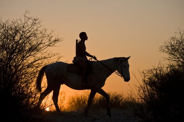Horse Riding Grasslands Bushman Lodge Horse Riding Grasslands Bushman Lodge