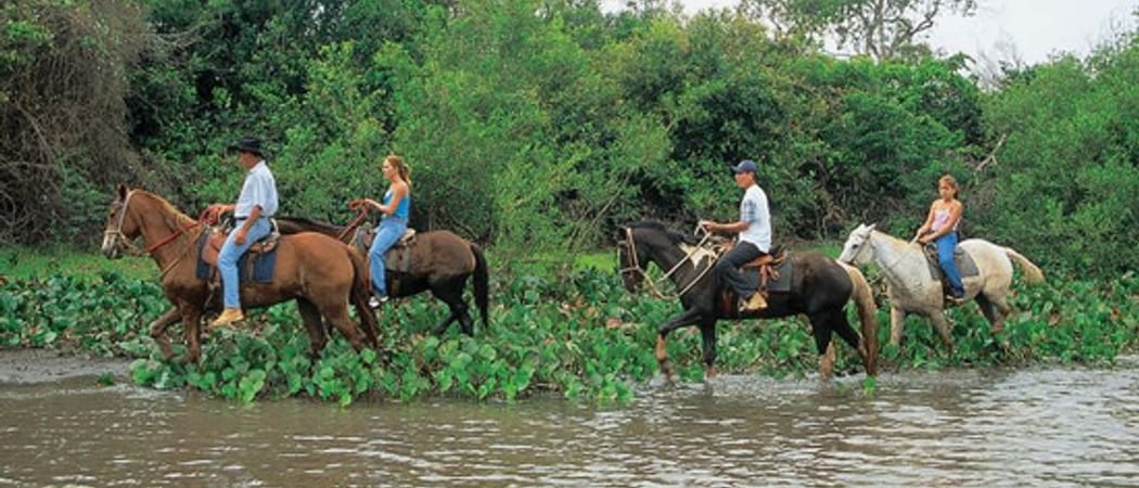 Horse riding Pantanal