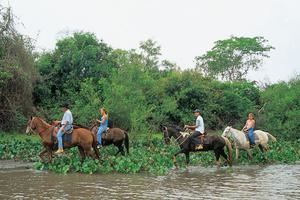 Horse riding Pantanal