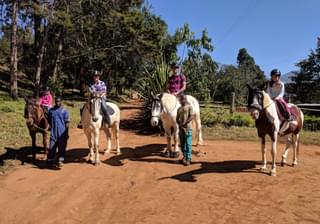 Horse Riding In Malawi
