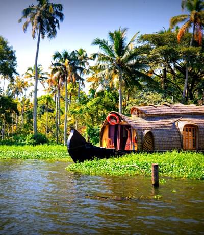 Houseboat Through The Reeds In Kerala