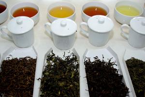 Huntingdon House Satemwa Tea Tasting Huntingdon House Satemwa Tea Tasting