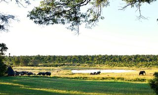 Hwange  Pan  Khulu Hwange  Pan  Khulu