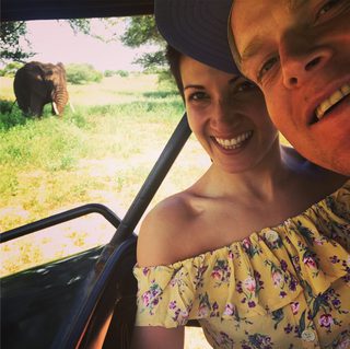 Elephant on safari Elephant on safari