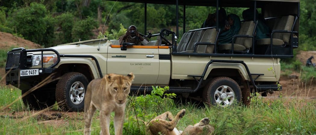 Ila Safari Lodge Game Drive Kafue zambia