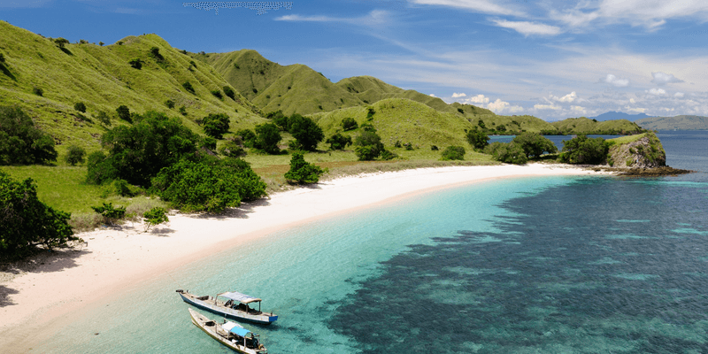 Indonesia Canva Pro Indonesia Canva Pro