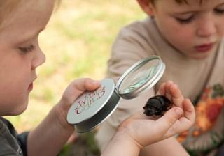 Inspecting Bugs With The Wildchild Magnifying Glass With Beyond