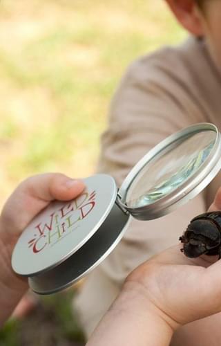 Inspecting Bugs With The Wildchild Magnifying Glass With Beyond