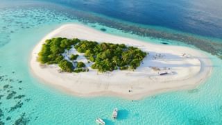 Island in Maldives Canva Pro Island in Maldives Canva Pro