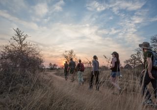 Walking Safari Africa Walking Safari Africa