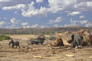 Jabal Elephants Jabal Elephants