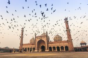 Jama  Masjid