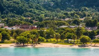 Jamaica Canva Pro Jamaica Canva Pro