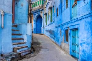 Jodhpurs Blue Streets