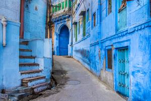 Jodhpurs Blue Streets Jodhpurs Blue Streets