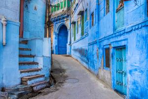 Jodhpurs Blue Streets