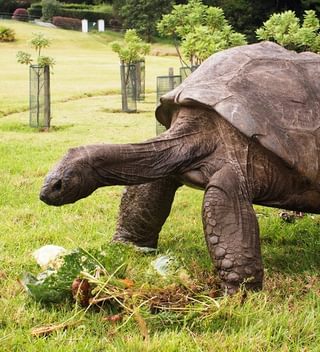Jonathan At Lunch Jonathan At Lunch