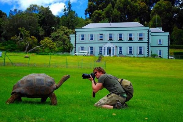 Jonathan The Tortoise Outside Plantation House Jonathan The Tortoise Outside Plantation House