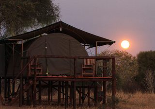 Jozibanini Camp  Jozibanini Jozibanini Camp  Jozibanini