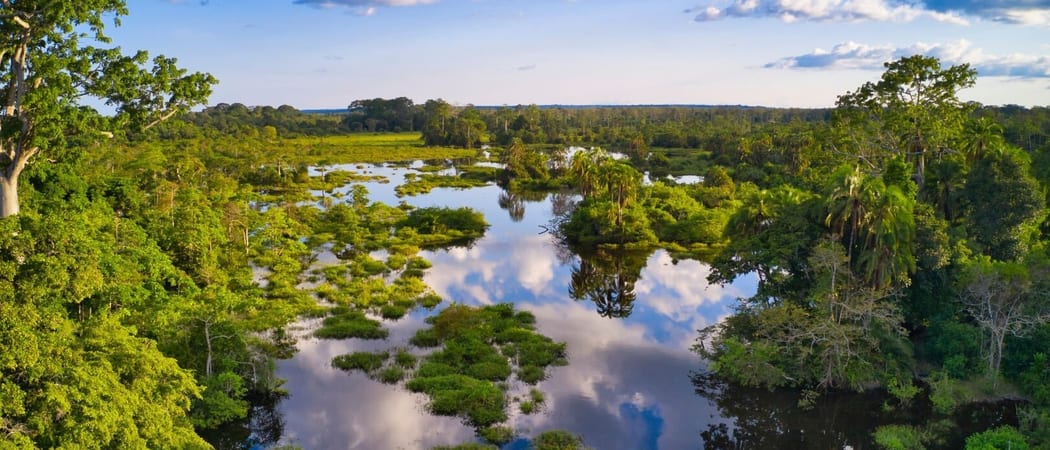 Jungle river in the Congo Basin Congo Canva Pro