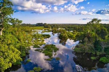 Jungle river in the Congo Basin Congo Canva Pro Jungle river in the Congo Basin Congo Canva Pro