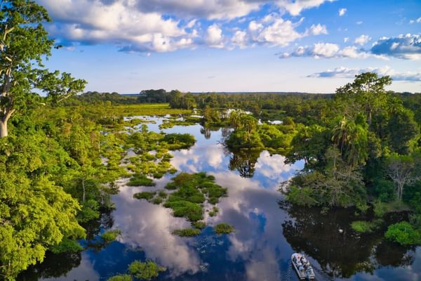 Jungle river in the Congo Basin Congo Canva Pro Jungle river in the Congo Basin Congo Canva Pro