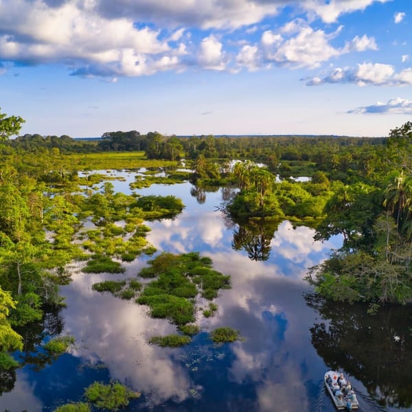 Jungle river in the Congo Basin Congo Canva Pro