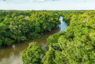 Jungle river in the congo basin Canva Pro Congo Jungle river in the congo basin Canva Pro Congo
