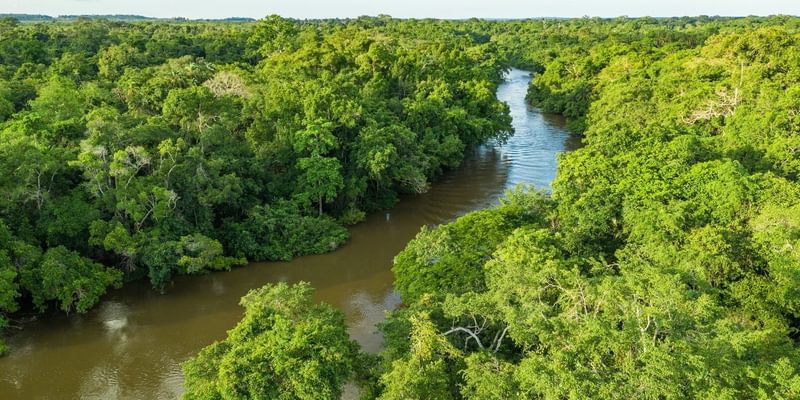 Jungle river in the congo basin Canva Pro Congo Jungle river in the congo basin Canva Pro Congo