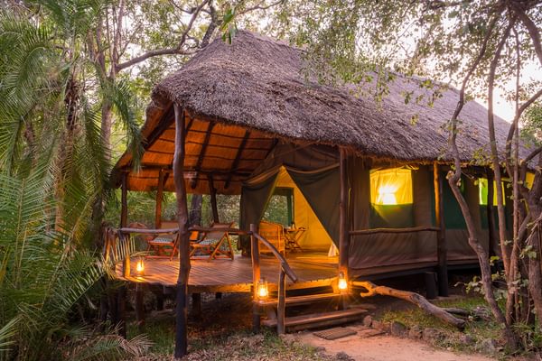 Kaingu Safari Lodge Tent Kafue Zambia Kaingu Safari Lodge Tent Kafue Zambia