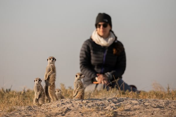 Kalahari Desert Womans Safari Expedition Mere Cats Natural Selection Kalahari Desert Womans Safari Expedition Mere Cats Natural Selection