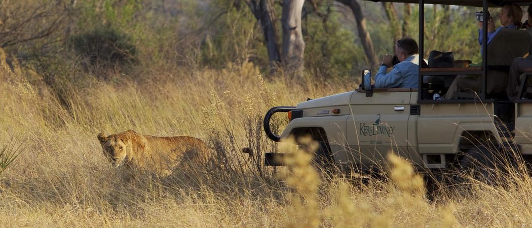 Kanana Game Drive