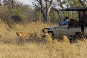 Kanana Game Drive Kanana Game Drive