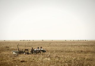 Katavi Wild Spaces Katavi Wild Spaces