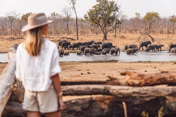 Khulu Bush Camp Elephants Khulu Bush Camp Elephants