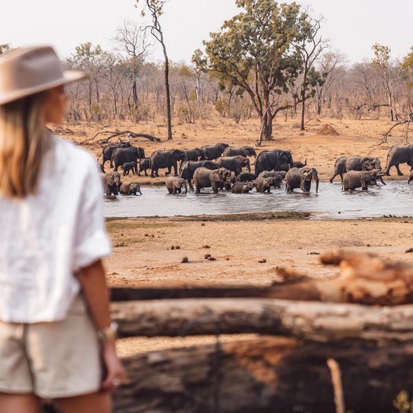 Khulu Bush Camp Elephants