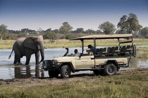Khwai Bush Camp Game Drive Khwai Bush Camp Game Drive