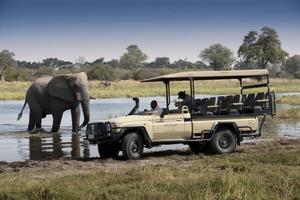 Khwai Bush Camp Game Drive